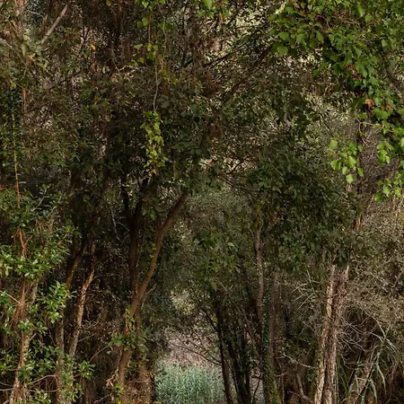 Casa Peras Vila Óbidos