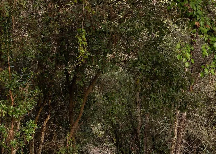 Casa Peras Villa Óbidos